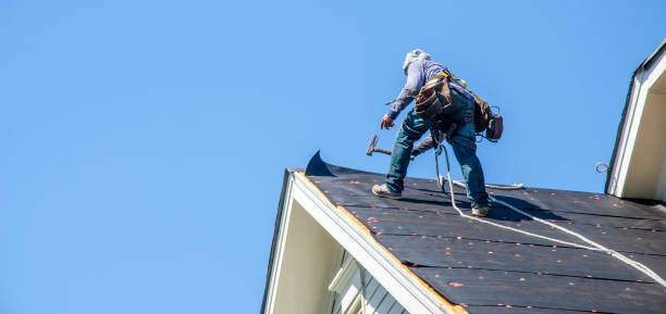 Best Roof Gutter Cleaning  in Riverside, IA
